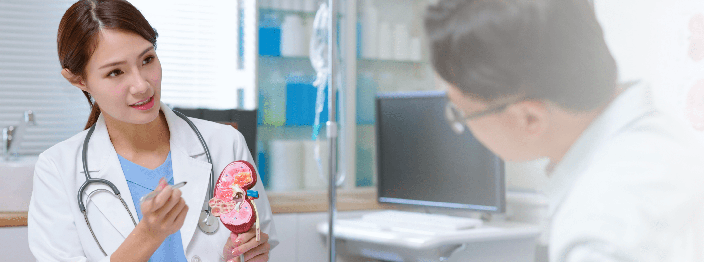 Photo of a female doctor explaining the anatomy of a kidney to a patient